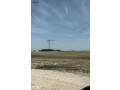 ard-mmyzh-tbaad-100m-aan-sharaa-almtar-mn-almalk-mbashrh-akl-saar-balmntk-small-1