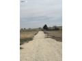 ard-mmyzh-tbaad-100m-aan-sharaa-almtar-mn-almalk-mbashrh-akl-saar-balmntk-small-2
