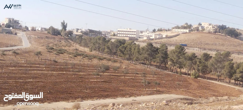 tryk-blaama-alzrkaaa-big-0