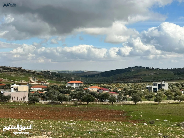 ard-llbyaa-alaanybh-hod-alhmydy-mn-almalk-mbashr-atlalh-aaaly-balkmh-big-0