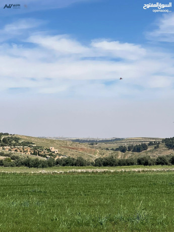 ard-llbyaa-alaanybh-hod-alhmydy-mn-almalk-mbashr-atlalh-aaaly-balkmh-big-1