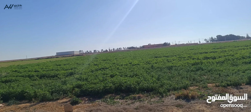 tmlk-17-dnm-balmfrk-bsaar-alhrk-obsaar-mghry-tmlk-oaayd-bktaah-mmyzh-lmstkbl-aoladk-tnazl-fory-ahla-fykm-big-3