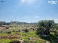 bsm-allh-alrhmn-alrhym-ard-llbyaa-fy-byryn-msahh-450m2-aal-sharaayn-atlalh-mmyzh-mn-almalk-mbashrh-small-2