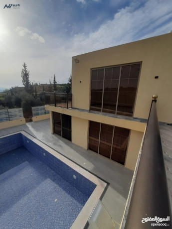 grsh-shalyh-fakhr-gdyd-batlal-khlab-fy-ahdan-altbyaa-big-0