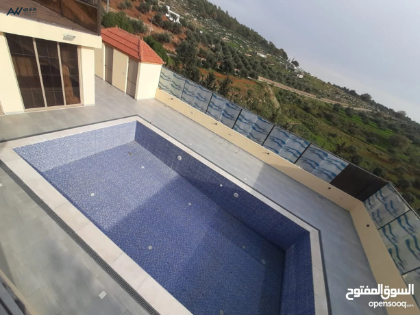 grsh-shalyh-fakhr-gdyd-batlal-khlab-fy-ahdan-altbyaa-big-1