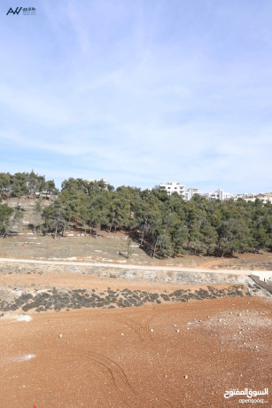 shk-t-aol-khlf-mdars-alaaalmy-bntham-thky-maa-tdfy-tht-alblat-200m2-maa-blkon-oasaa-o-atlal-big-0