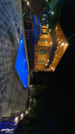 fyla-ryfy-fakhr-omzraa-antagy-batlal-banoramy-khlab-aal-gbal-grsh-oaaglon-frs-thhby-llbahthyn-big-2