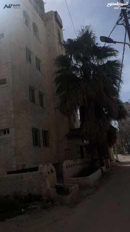 aamar-mfrosh-llbyaa-dkhlha-alshhry-4000-dynar-mkon-mn-29-astodyo-big-2