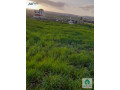ard-llbyaa-fy-madba-hy-algzyr-tryk-alkrk-shrk-kazy-alflahat-ktaa-mmyz-small-2