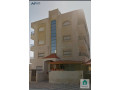 shk-llbyaa-fy-dahy-alhag-hsn-balkrb-mn-msgd-alrodh-small-0