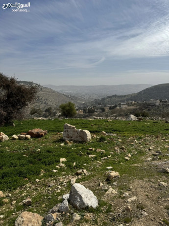 ard-6-dnmat-shmal-aaman-loaaa-aayn-albasha-kry-am-angash-ktaah-mrtfaah-omtlh-okrybh-mn-gmyaa-alkhdmat-big-1