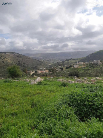 ard-6-dnmat-shmal-aaman-loaaa-aayn-albasha-kry-am-angash-ktaah-mrtfaah-omtlh-okrybh-mn-gmyaa-alkhdmat-big-2