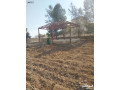 ktaah-ard-aal-alsharaa-alryysy-grsh-balkrb-mn-mthlth-alknyh-gmyaa-alkhdmat-mn-almalk-mbashrh-small-2