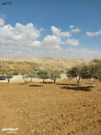 ktaah-ard-aal-alsharaa-alryysy-grsh-balkrb-mn-mthlth-alknyh-gmyaa-alkhdmat-mn-almalk-mbashrh-big-3