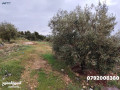 frsh-astthmaryh-ard-mrtfaa-okashfh-khsbh-mshgrh-gahzh-khdmat-kamlh-small-1