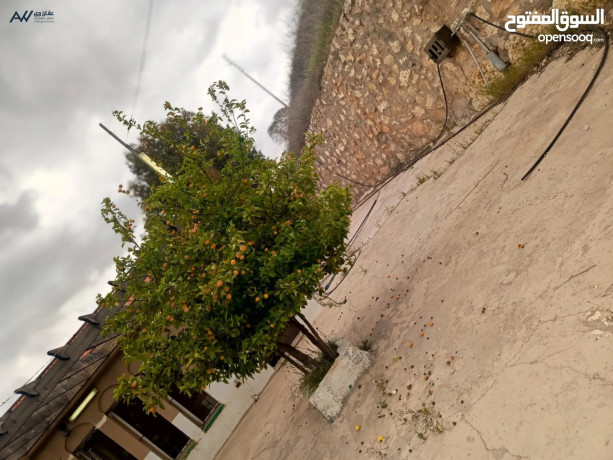 mzraah-maa-2-byt-ryfy-mkhdomh-maaa-okhrbaaa-msahtha-4712-alsaar-100-alf-kablh-ltfaod-big-1