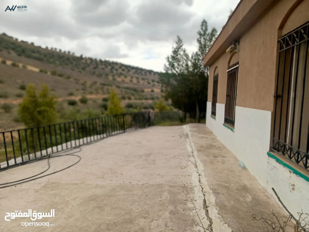 mzraah-maa-2-byt-ryfy-mkhdomh-maaa-okhrbaaa-msahtha-4712-alsaar-100-alf-kablh-ltfaod-big-3