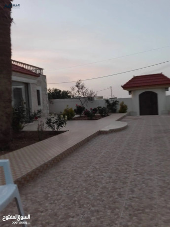 fyla-hdyth-maa-mzraa-llbyaa-bsaar-mghry-big-3