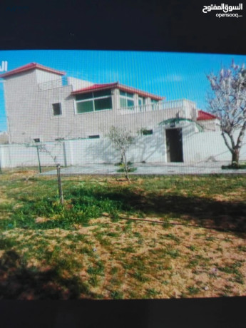 fyla-hdyth-maa-mzraa-llbyaa-bsaar-mghry-big-0