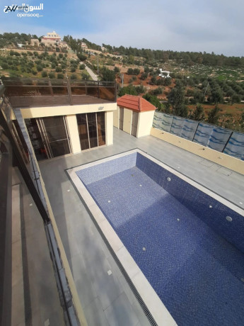 grsh-shalyh-fakhr-gdyd-batlal-khlab-fy-ahdan-altbyaa-big-2