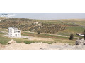 agml-ahyaaa-shfabdran-small-3