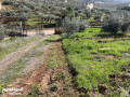 ard-mmyz-tslh-lmzraa-ao-shalyh-mkabl-mtaam-byt-shakr-oalastblat-almlky-small-1