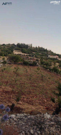 ard-llbyaa-fy-aaglon-big-0