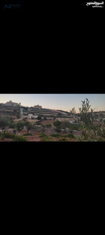 ard-llbyaa-fy-aaglon-big-4