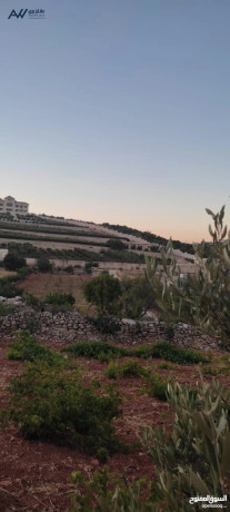 ard-llbyaa-fy-aaglon-big-1