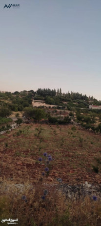 ard-llbyaa-fy-aaglon-big-3