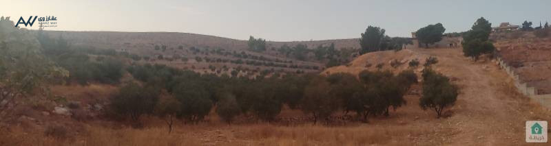 ard-kbyr-llbyaa-fy-srot-alzrkaaa-bsaar-mghry-big-1