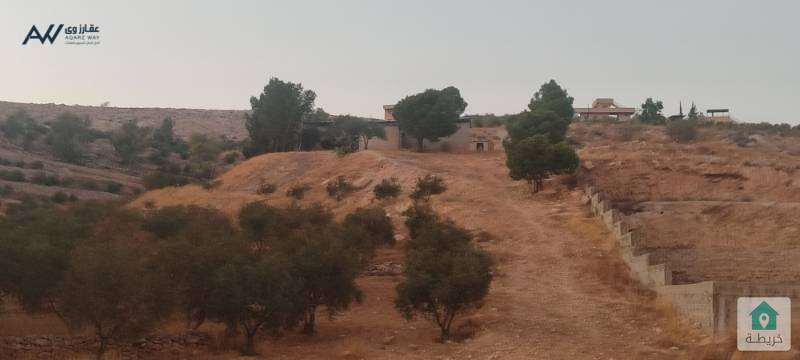 ard-kbyr-llbyaa-fy-srot-alzrkaaa-bsaar-mghry-big-2