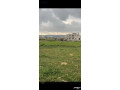 ard-skny-astthmary-900-m-tnthym-a-fy-rgm-alshamy-tbaad-1-kylo-aan-sharaa-almy-mn-almalk-mbashrh-llbyaa-small-4