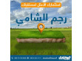 ard-skny-astthmary-900-m-tnthym-a-fy-rgm-alshamy-tbaad-1-kylo-aan-sharaa-almy-mn-almalk-mbashrh-llbyaa-small-1