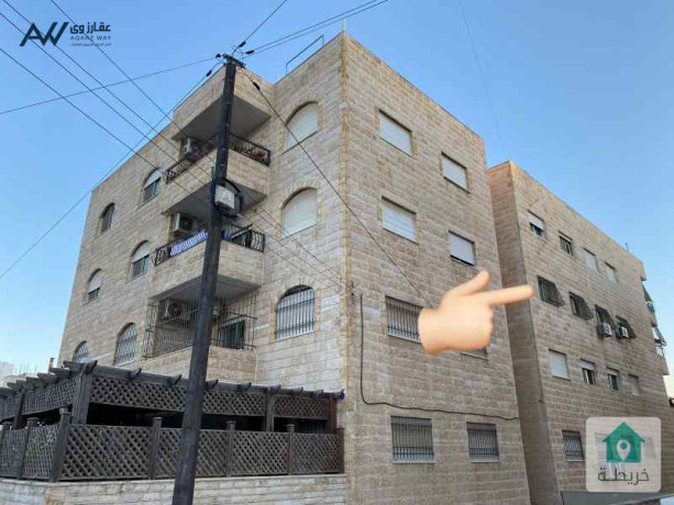 shk-llbyaa-fy-ark-mnatk-tbrbor-tabk-thany-msah-oasaa-big-0