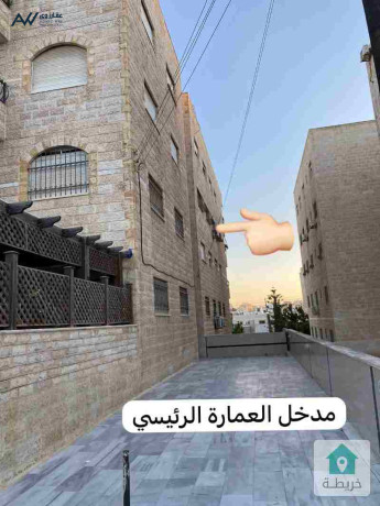 shk-llbyaa-fy-ark-mnatk-tbrbor-tabk-thany-msah-oasaa-big-1