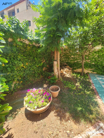 fyla-mtlask-llbyaa-fy-dyr-ghbar-fy-saary-mghry-big-2