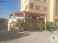 shk-ardy-mstkl-llbyaa-fy-alzrkaaa-algdyd-albtraoy-small-4