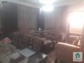 shk-ardy-mstkl-llbyaa-fy-alzrkaaa-algdyd-albtraoy-small-2