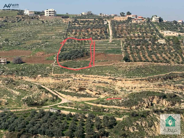 ard-fy-alslyhy-llbyaa-big-1