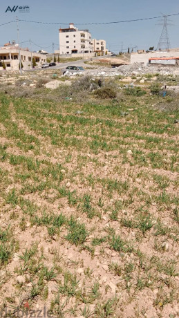 ard-lkt-llbyaa-fy-shfabdran-zynat-alrboaa-big-0