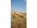 ard-zraaay-aal-hdod-altnthym-msaf-kryb-mn-mdyn-grsh-o-27-dkyk-mn-aaman-oasl-khrbaaa-o-myah-small-4