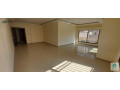 shk-rayaah-llbyaa-fy-dabok-bsaar-lkt-small-2