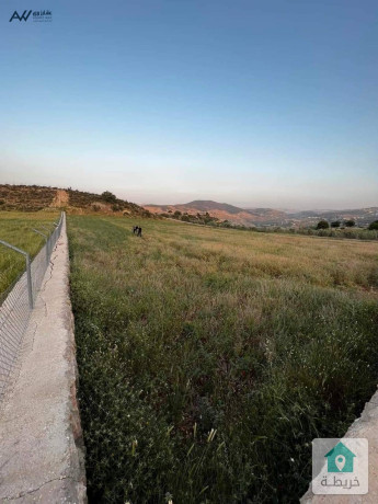 ktaa-ard-llbyaa-fy-agml-mnatk-alslt-glaad-big-1