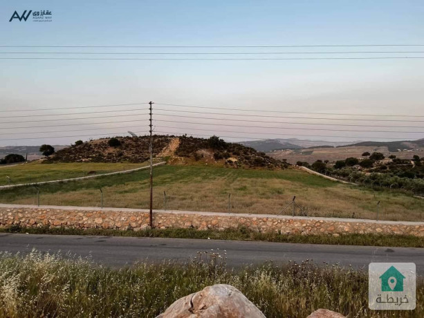 ktaa-ard-llbyaa-fy-agml-mnatk-alslt-glaad-big-4