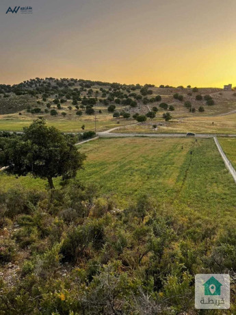 ktaa-ard-llbyaa-fy-agml-mnatk-alslt-glaad-big-2