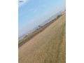 ard-mmyz-llbyaa-fy-mokaa-astratygy-byn-aaman-omadba-small-0