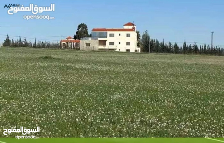 arady-llbyaa-mlask-lmsharyaa-astthmary-dkhm-basaaar-mmyz-big-0