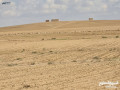 ard-llbyaa-fy-koyrh-mtar-almlkh-aalyaaa-3400-m-small-1