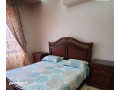 shk-mfrosh-sobr-dyloks-aaalan-rkm-t10-small-2